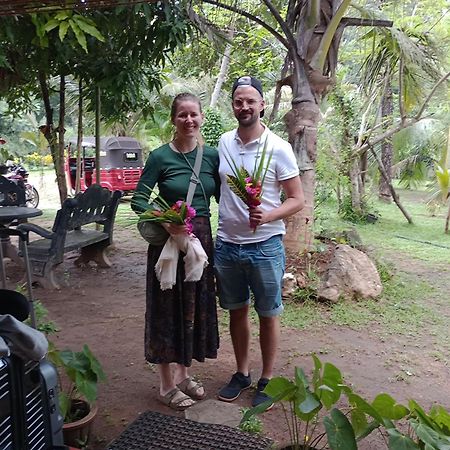 Jungle Eco Lodge & Safari Sigiriya Exterior photo