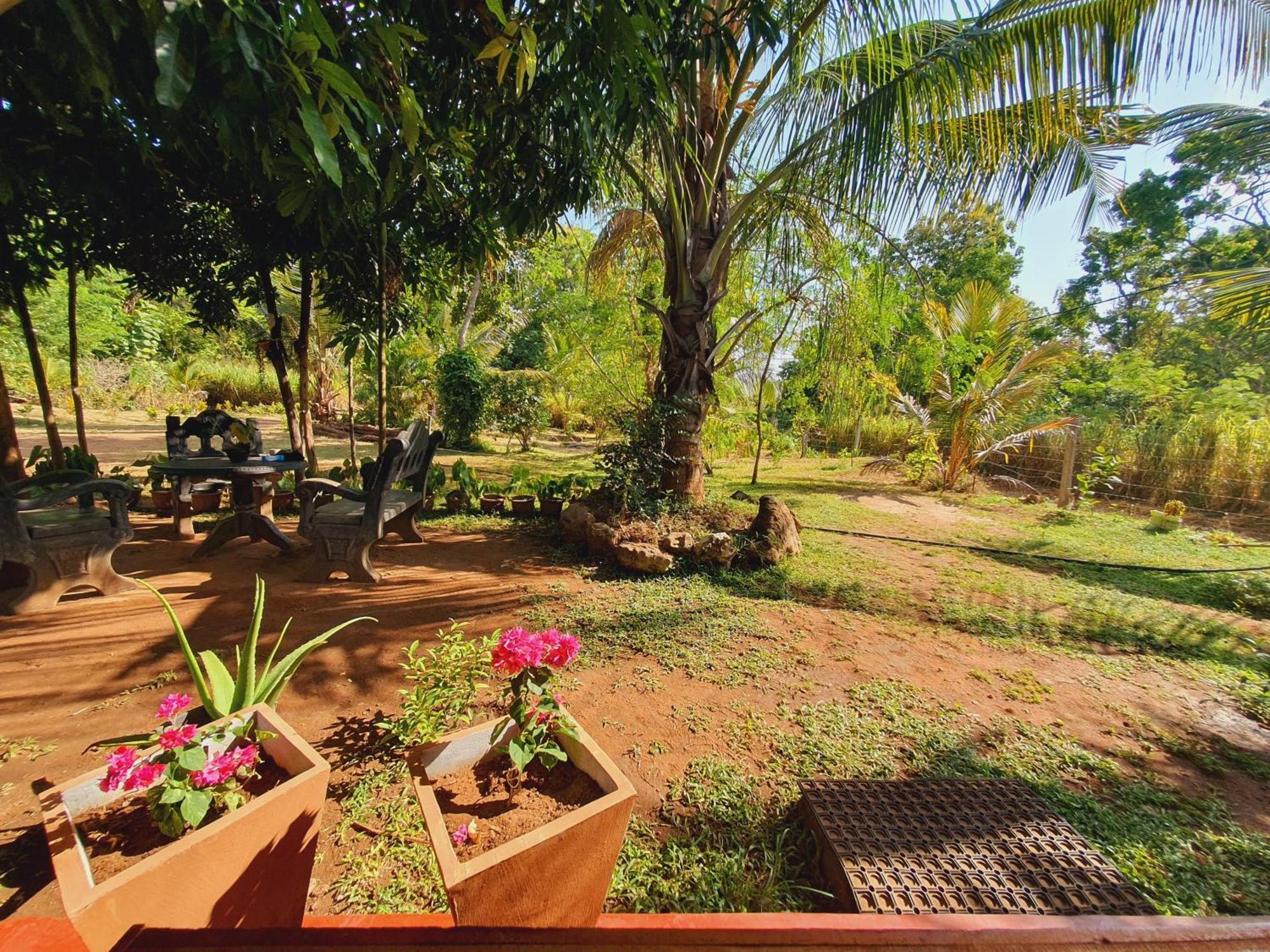 Jungle Eco Lodge & Safari Sigiriya Exterior photo