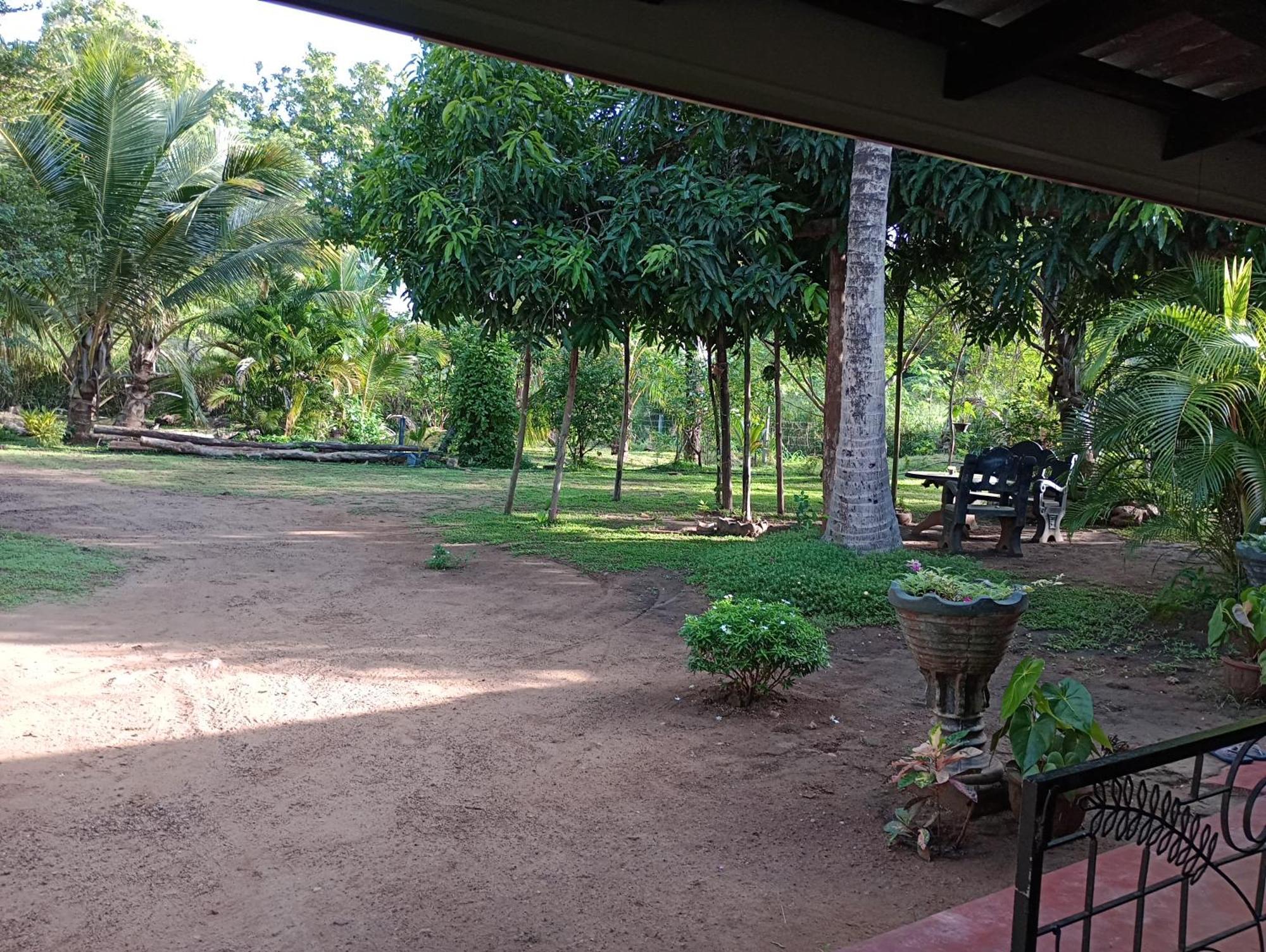 Jungle Eco Lodge & Safari Sigiriya Exterior photo