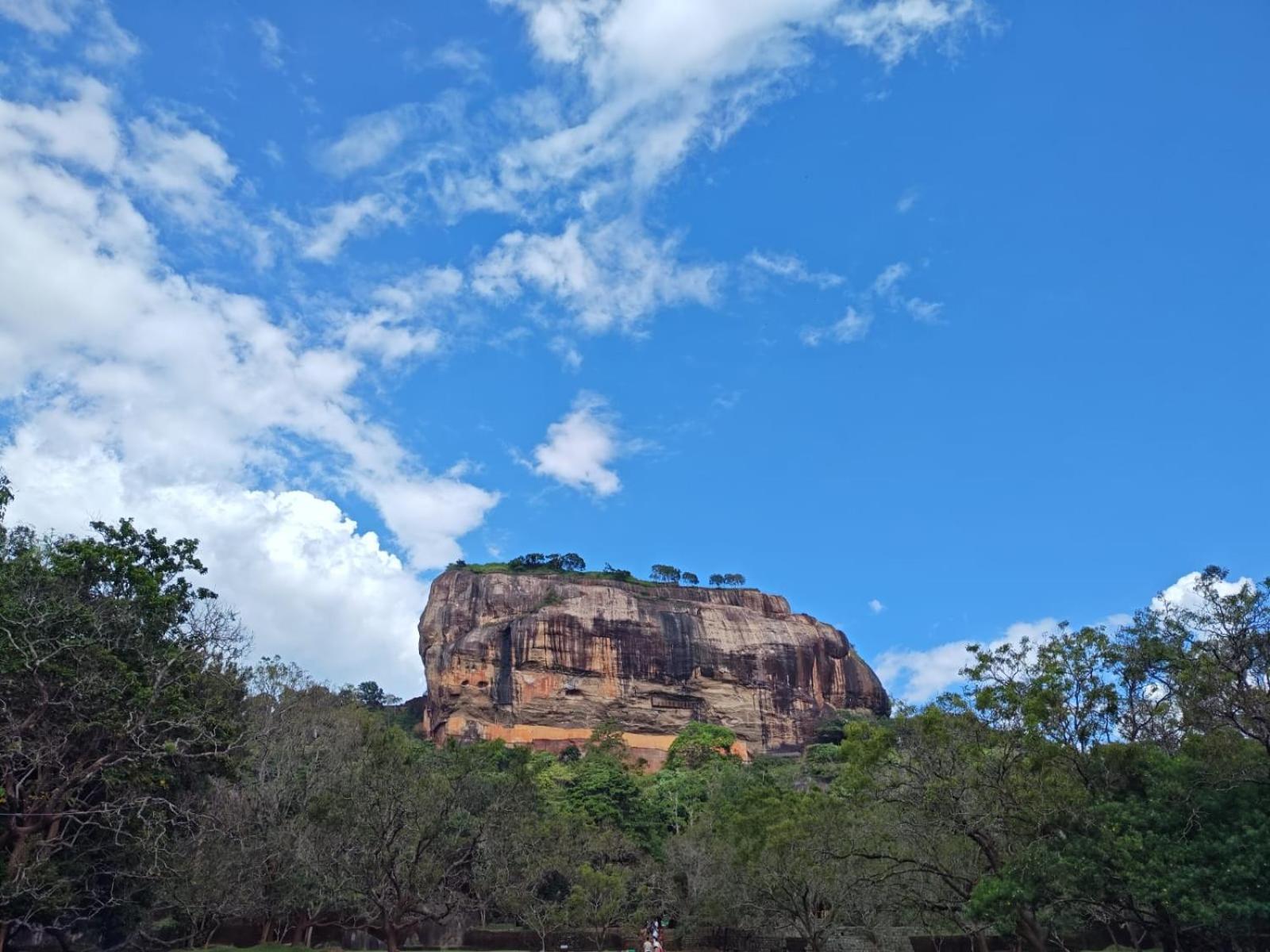 Jungle Eco Lodge & Safari Sigiriya Exterior photo